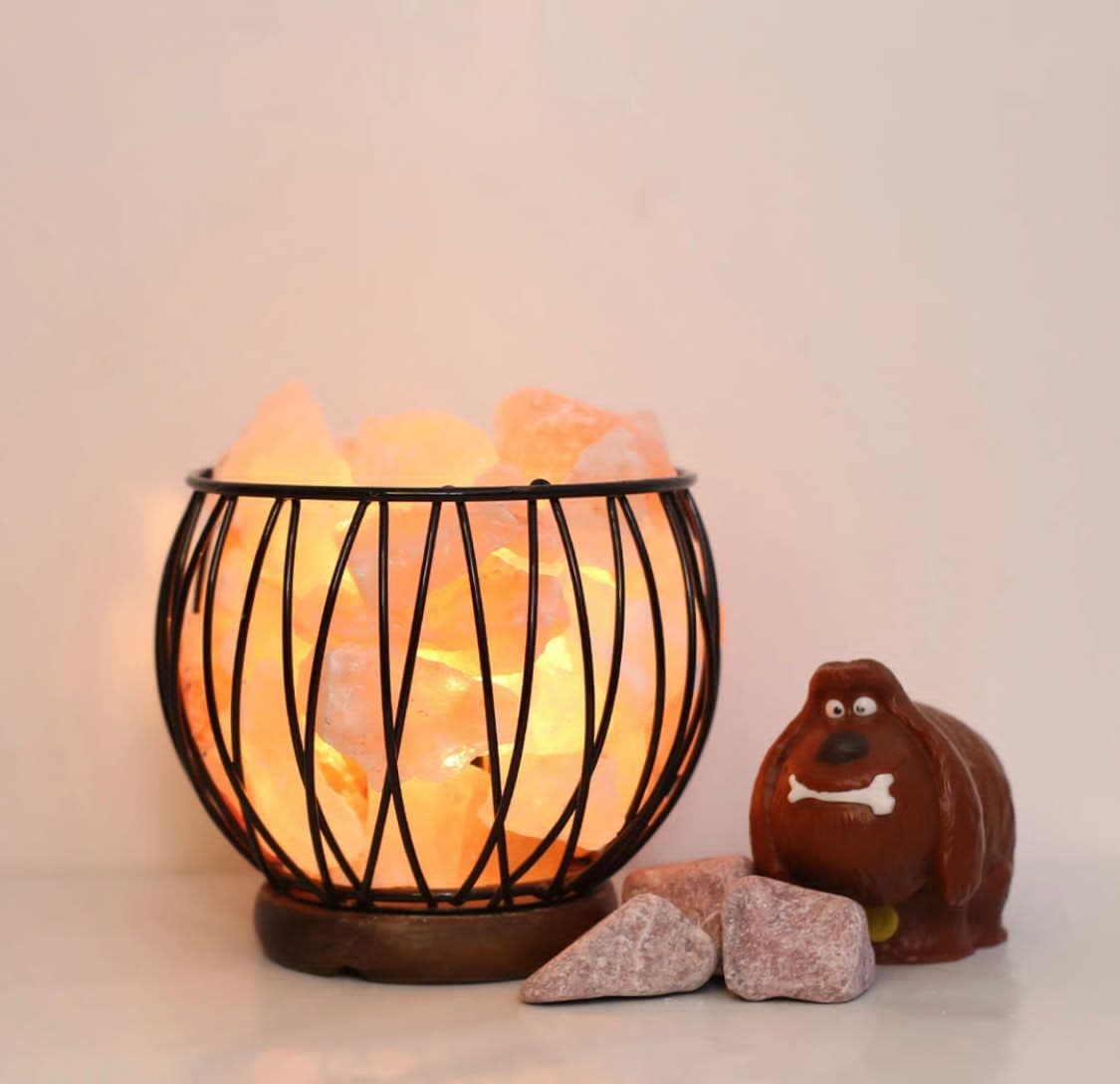 Himalayan salt globe cage lamp